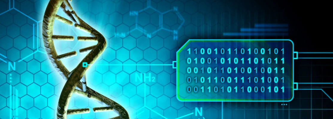 The Belighted technology stack